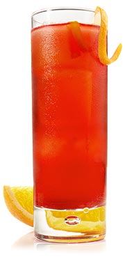 Campari Negroni Cocktail