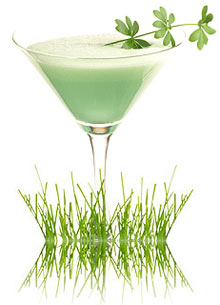 Grasshopper Cocktail