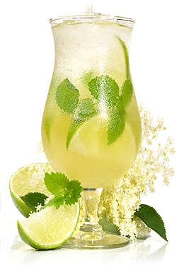 Hugo Cocktail ohne Alkohol