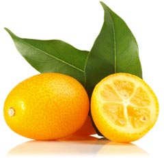 Kumquats
