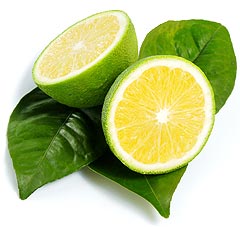 Reife Orange mit gr&uuml;ner Schale