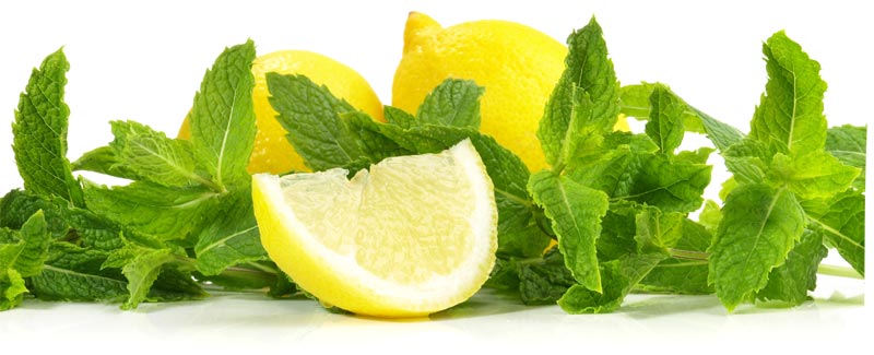 Mit Minze und Zitrone dekorieren
