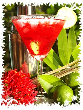 Tropical Cocktail mit Vermouth